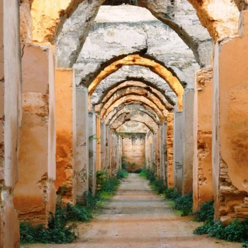 ethnic-volubilis