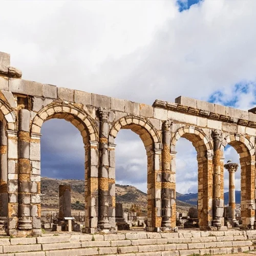 Ethnic-volubilis